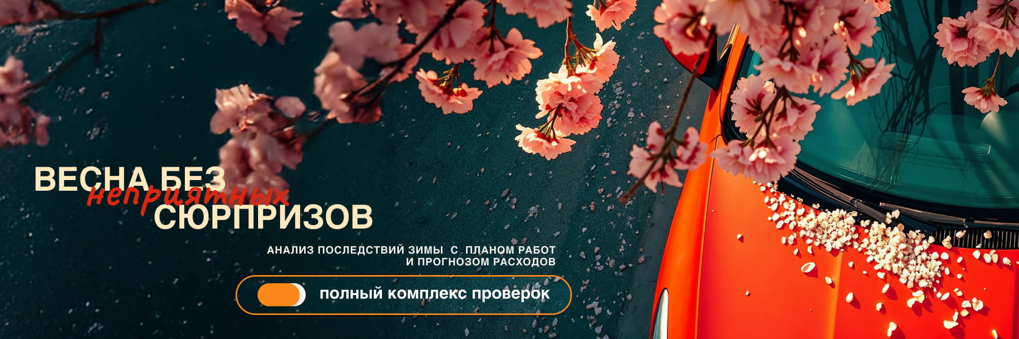 Комплекс-сервис «Весна без сюрпризов»