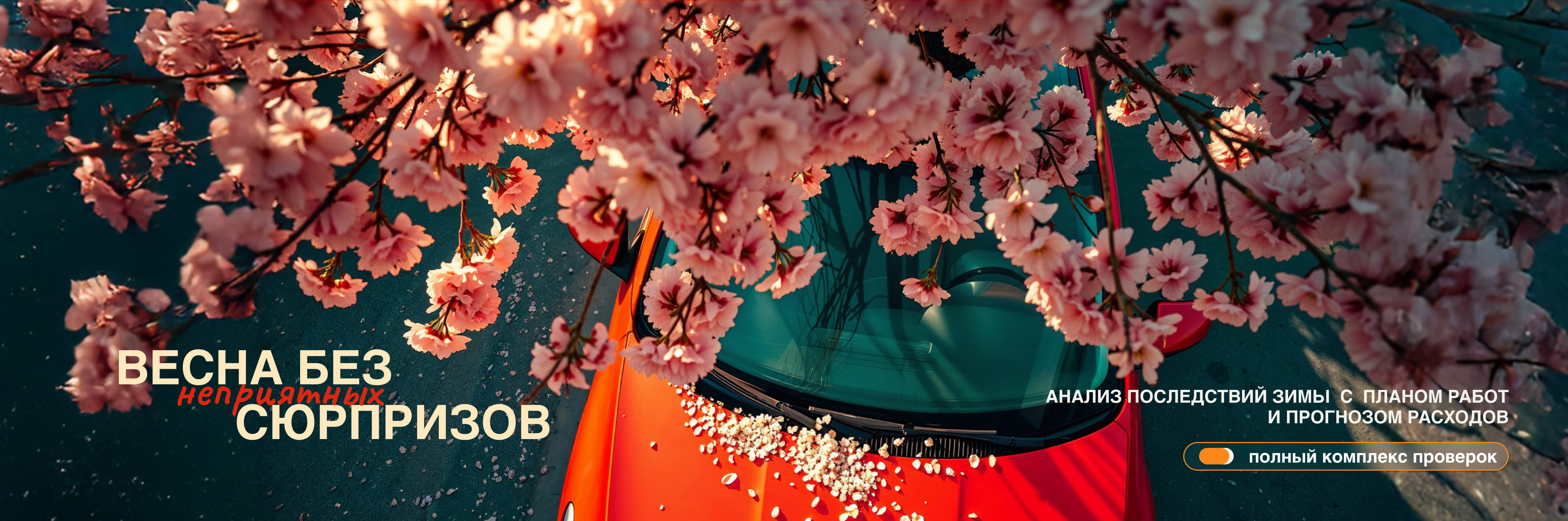 Комплекс-сервис «Весна без сюрпризов»